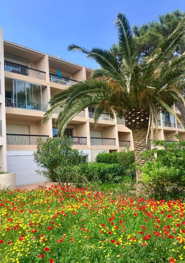 Appartement Ou Studio La Mer & La Plage A Vos Pieds Calvi 칼비 외부 사진