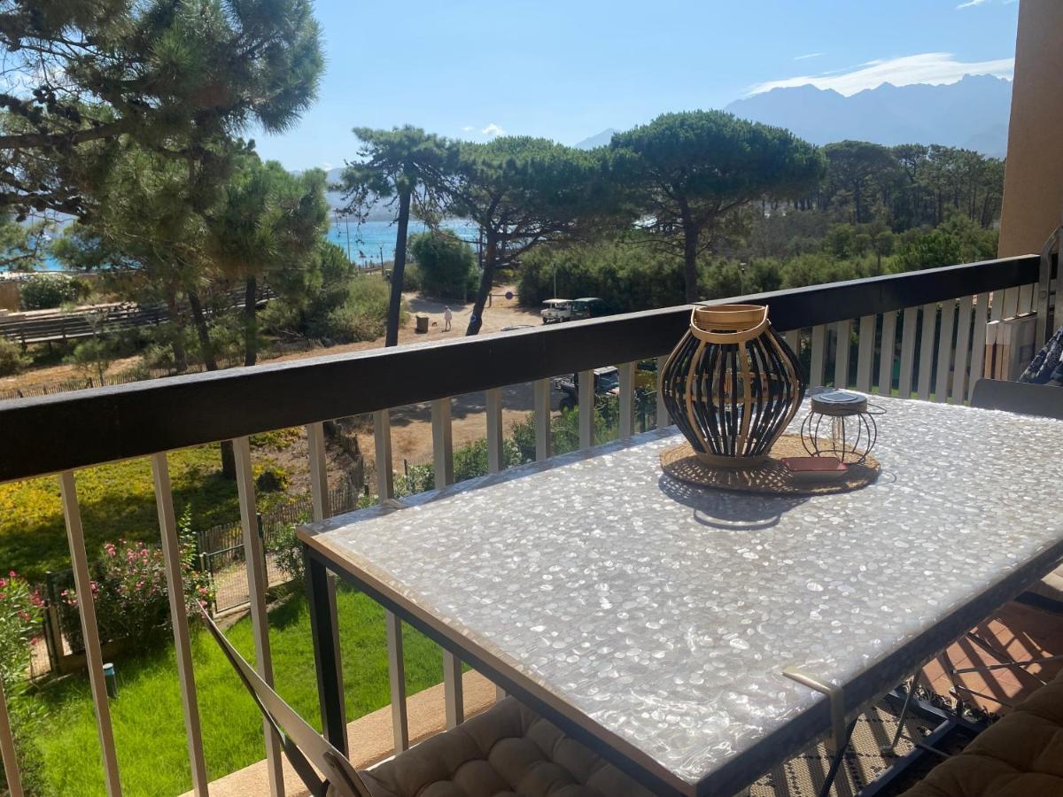 Appartement Ou Studio La Mer & La Plage A Vos Pieds Calvi 외부 사진