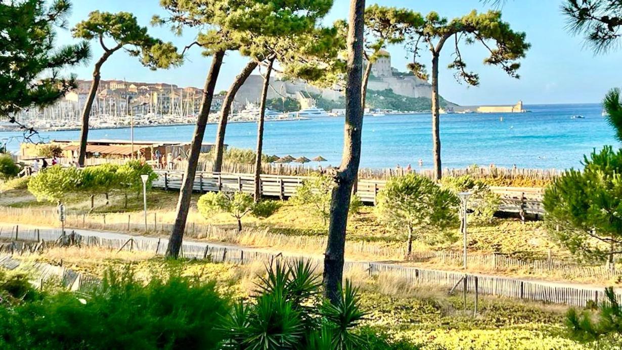 Appartement Ou Studio La Mer & La Plage A Vos Pieds Calvi 칼비 외부 사진