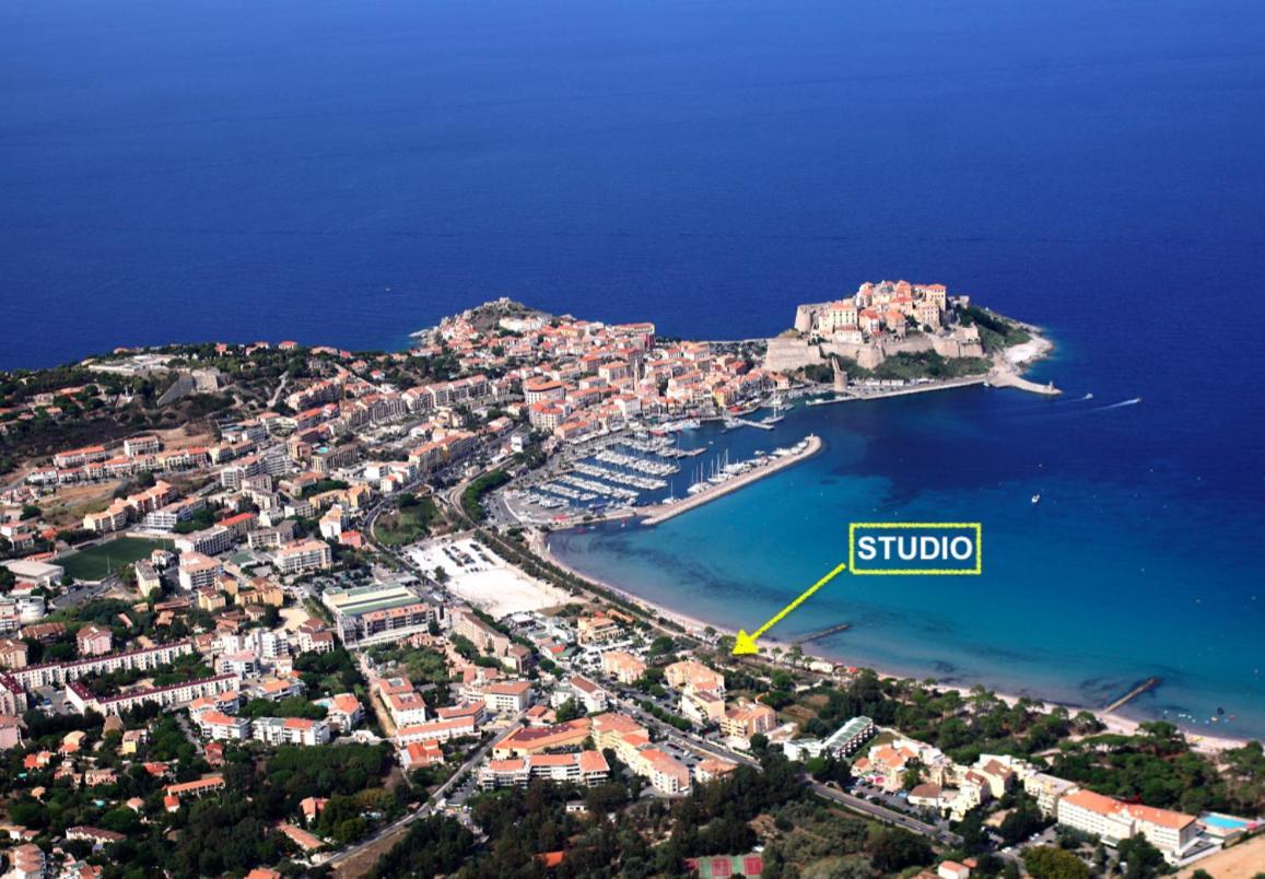 Appartement Ou Studio La Mer & La Plage A Vos Pieds Calvi 칼비 외부 사진